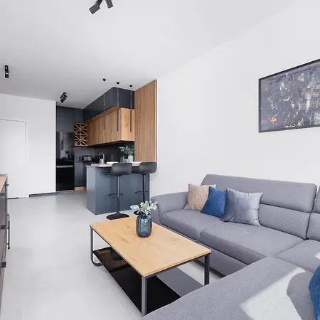 Charming Apartment With Parking In Katowice By Noclegi Renters Exterior photo